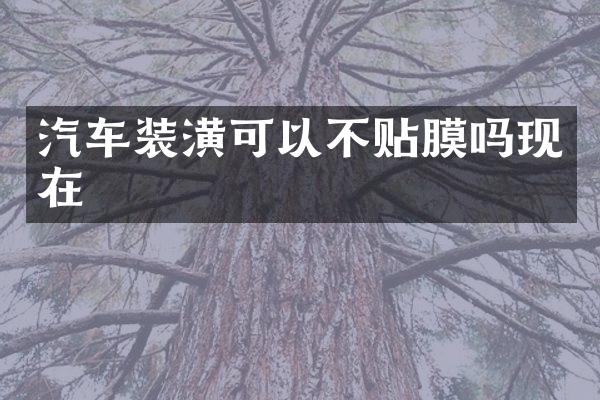汽车装潢可以不贴膜吗现在