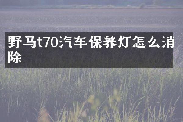 野马t70汽车保养灯怎么消除