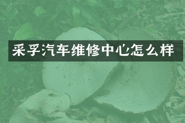 采孚汽车维修中心怎么样