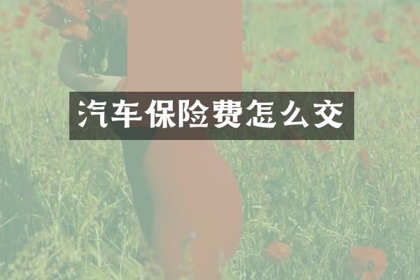 汽车保险费怎么交