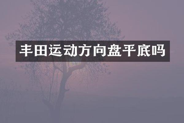 丰田运动方向盘平底吗
