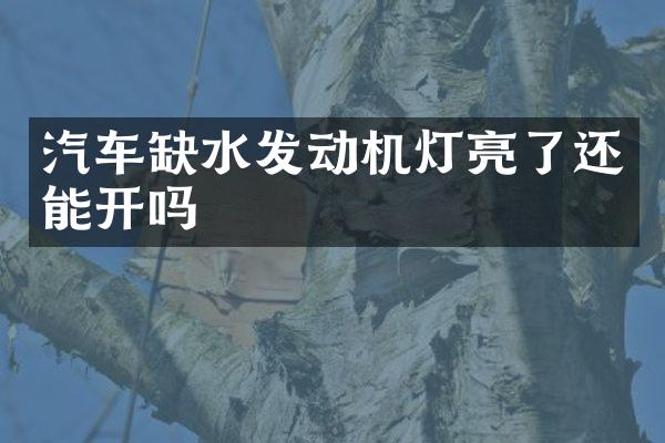 汽车缺水发动机灯亮了还能开吗