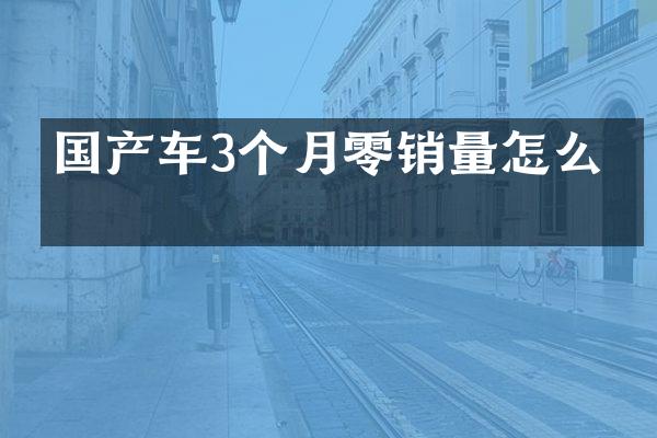 国产车3个月零销量怎么办