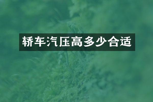 轿车汽压高多少合适