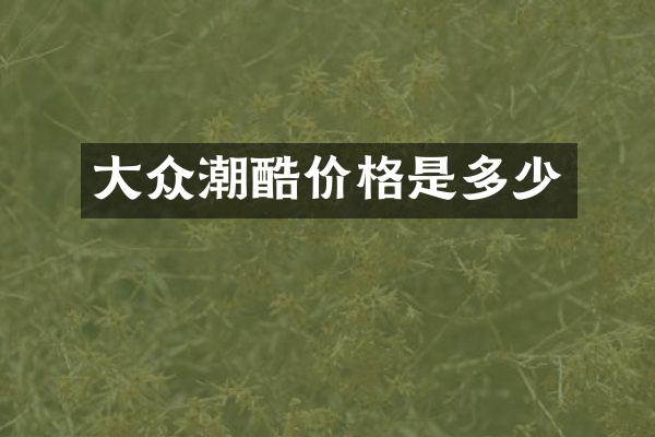 大众潮酷价格是多少