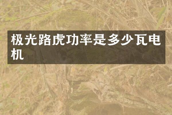 极光路虎功率是多少瓦电机