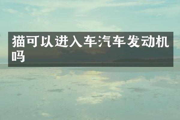 猫可以进入车汽车发动机吗