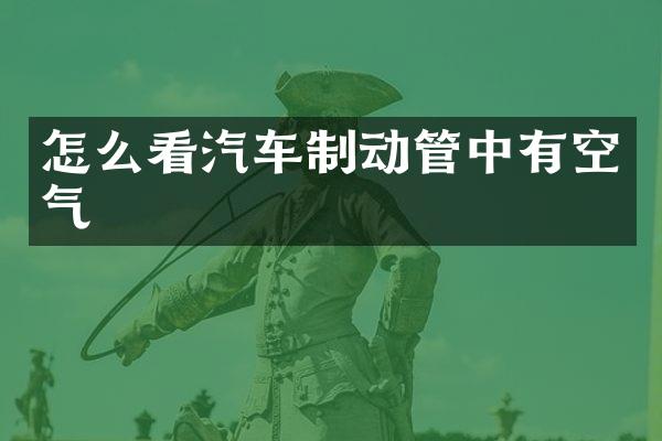 怎么看汽车制动管中有空气
