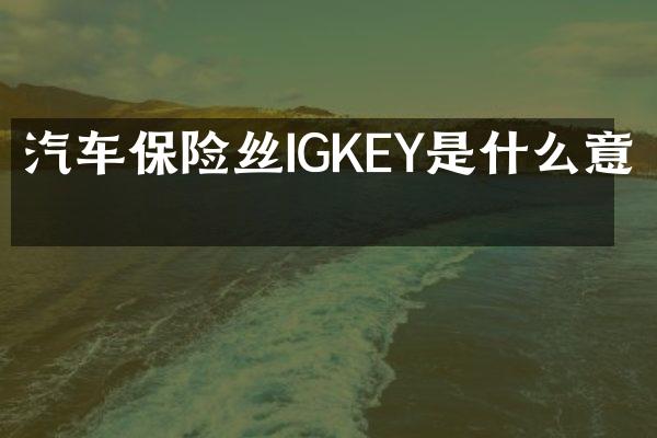 汽车保险丝IGKEY是什么意思