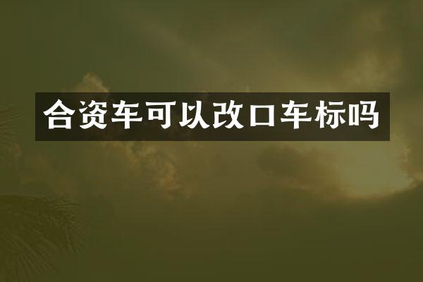 合资车可以改口车标吗