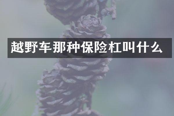 越野车那种保险杠叫什么