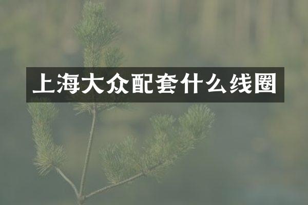 上海大众配套什么线圈