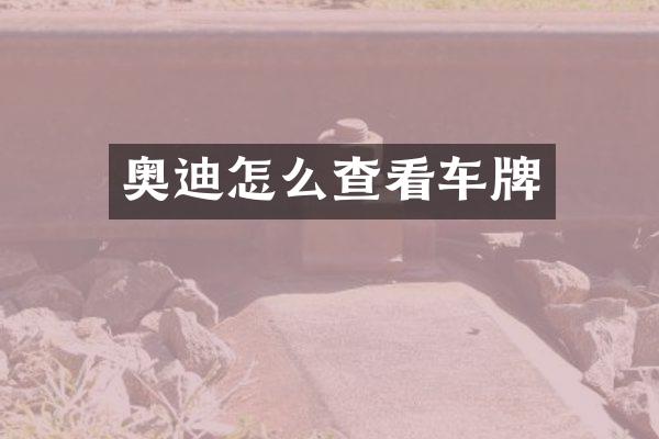 奥迪怎么查看车牌