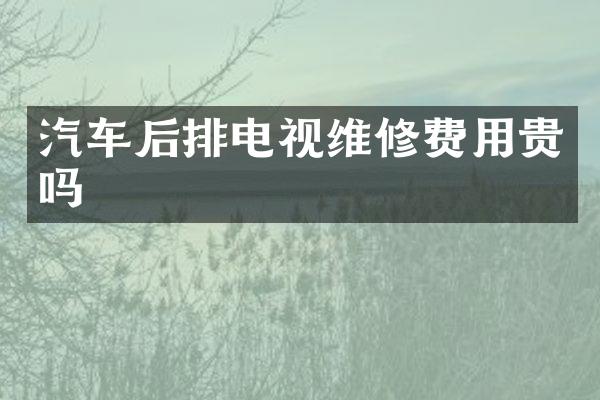 汽车后排电视维修费用贵吗