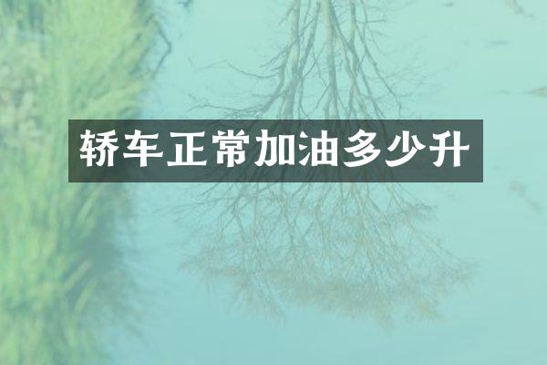 轿车正常加油多少升