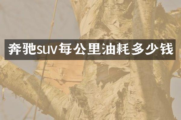 奔驰suv每公里油耗多少钱