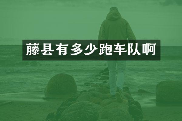 藤县有多少跑车队啊