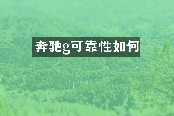 奔驰g可靠性如何