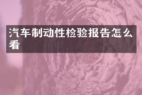 汽车制动性检验报告怎么看