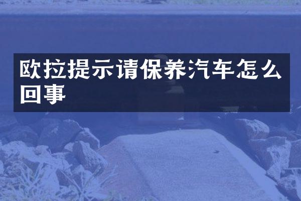 欧拉提示请保养汽车怎么回事