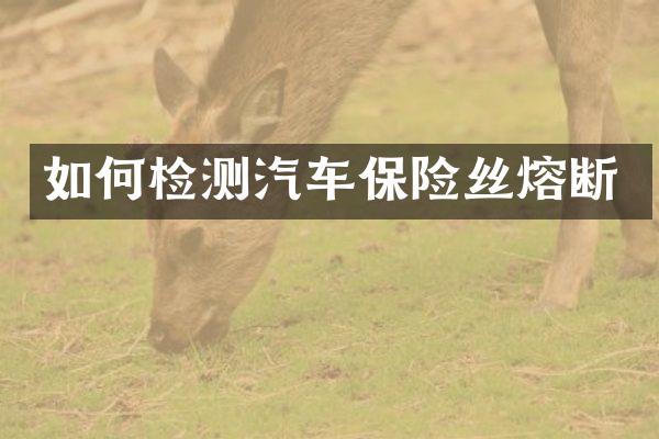 如何检测汽车保险丝熔断