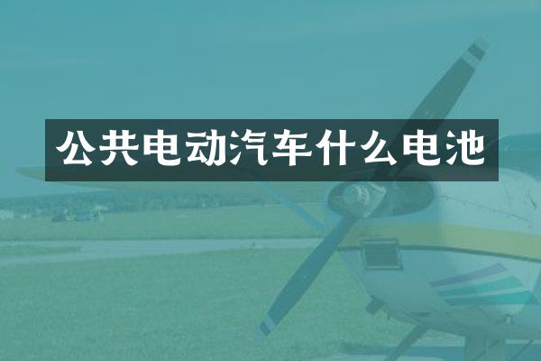 公共电动汽车什么电池