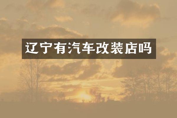 辽宁有汽车改装店吗