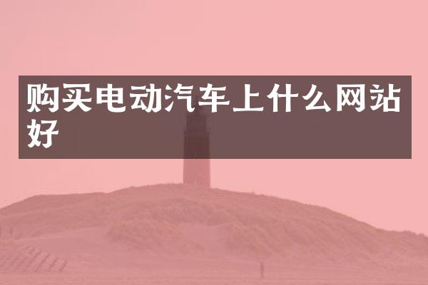 购买电动汽车上什么网站好