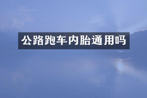 公路跑车内胎通用吗