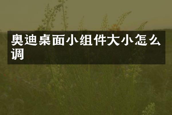 奥迪桌面小组件大小怎么调