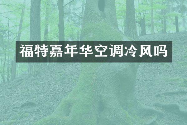 福特嘉年华空调冷风吗