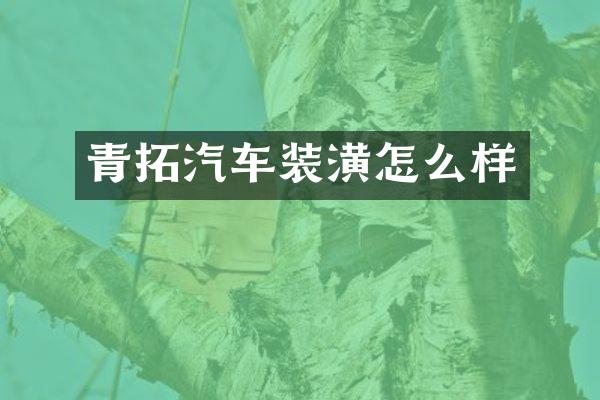 青拓汽车装潢怎么样