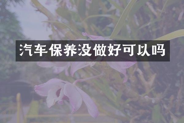 汽车保养没做好可以吗