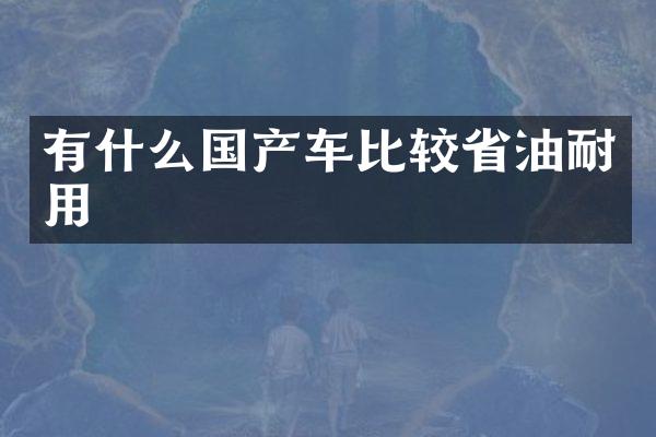 有什么国产车比较省油耐用