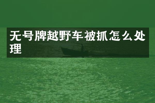 无号牌越野车被抓怎么处理