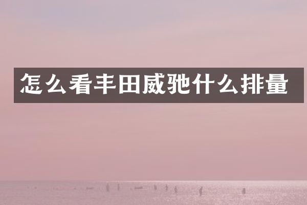 怎么看丰田威驰什么排量