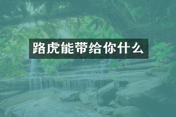 路虎能带给你什么