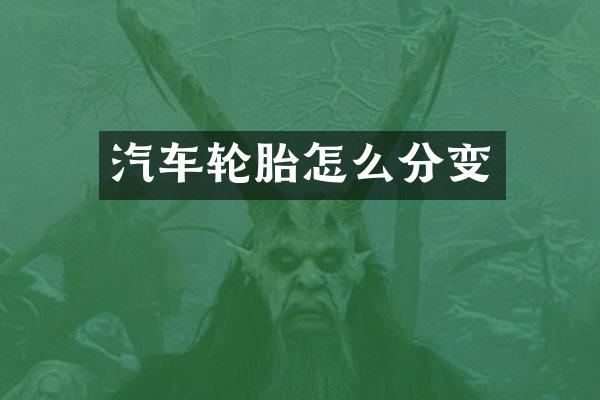 汽车轮胎怎么分变