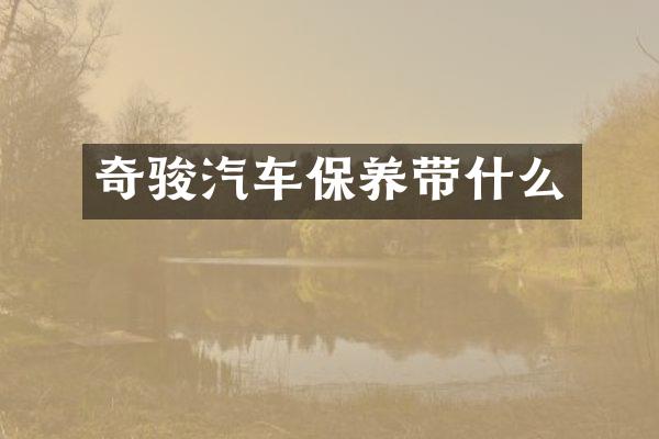 奇骏汽车保养带什么