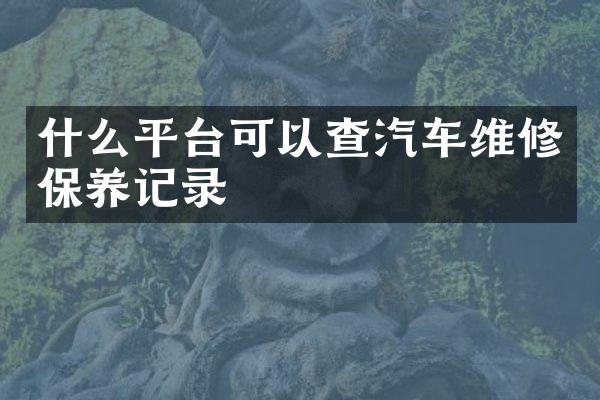 什么平台可以查汽车维修保养记录