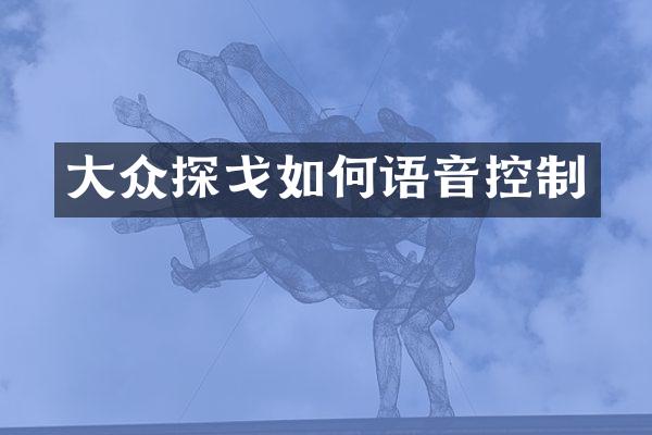 大众探戈如何语音控制