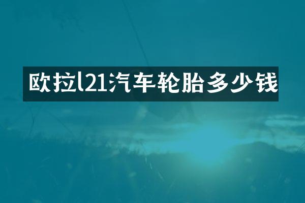 欧拉l21汽车轮胎多少钱