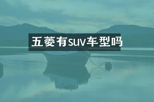 五菱有suv车型吗