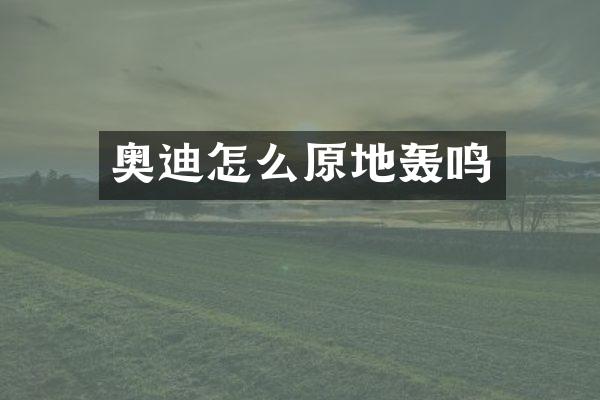 奥迪怎么原地轰鸣