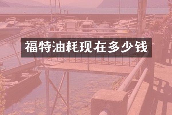福特油耗现在多少钱