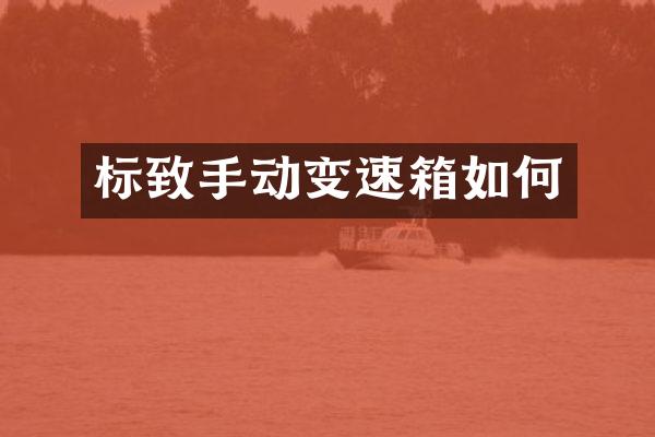 标致手动变速箱如何