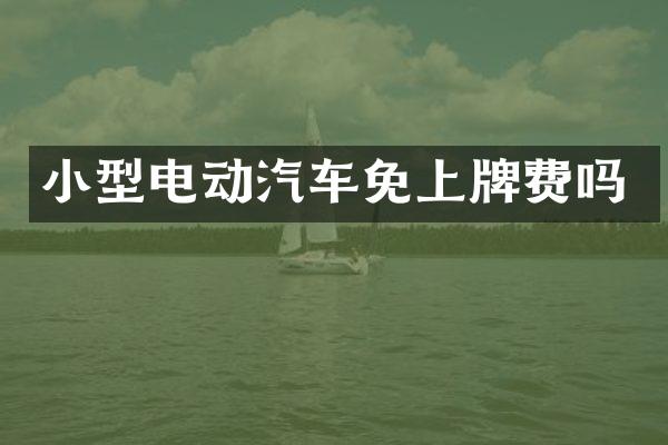 小型电动汽车免上牌费吗