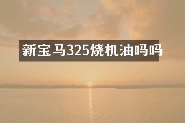 新宝马325烧机油吗吗