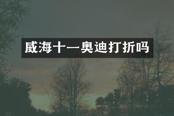 威海十一奥迪打折吗