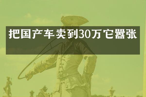 把国产车卖到30万它嚣张吗
